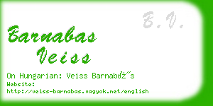 barnabas veiss business card